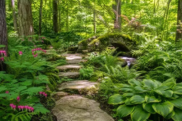 Woodland Naturalistic design style