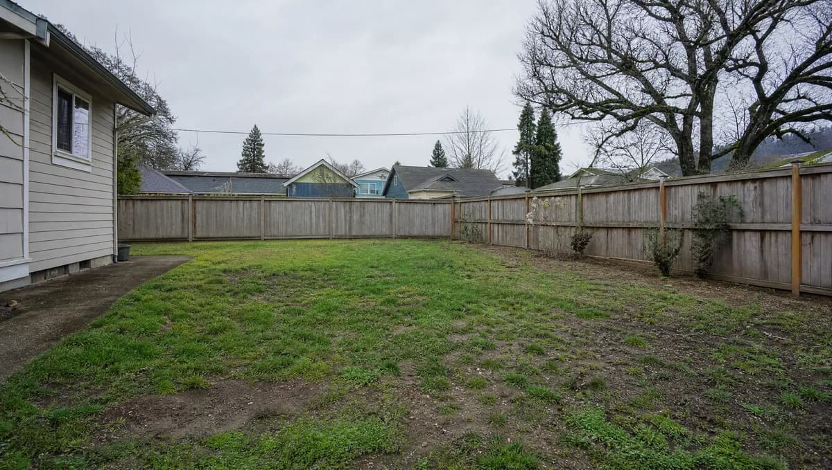 Before: original Backyard